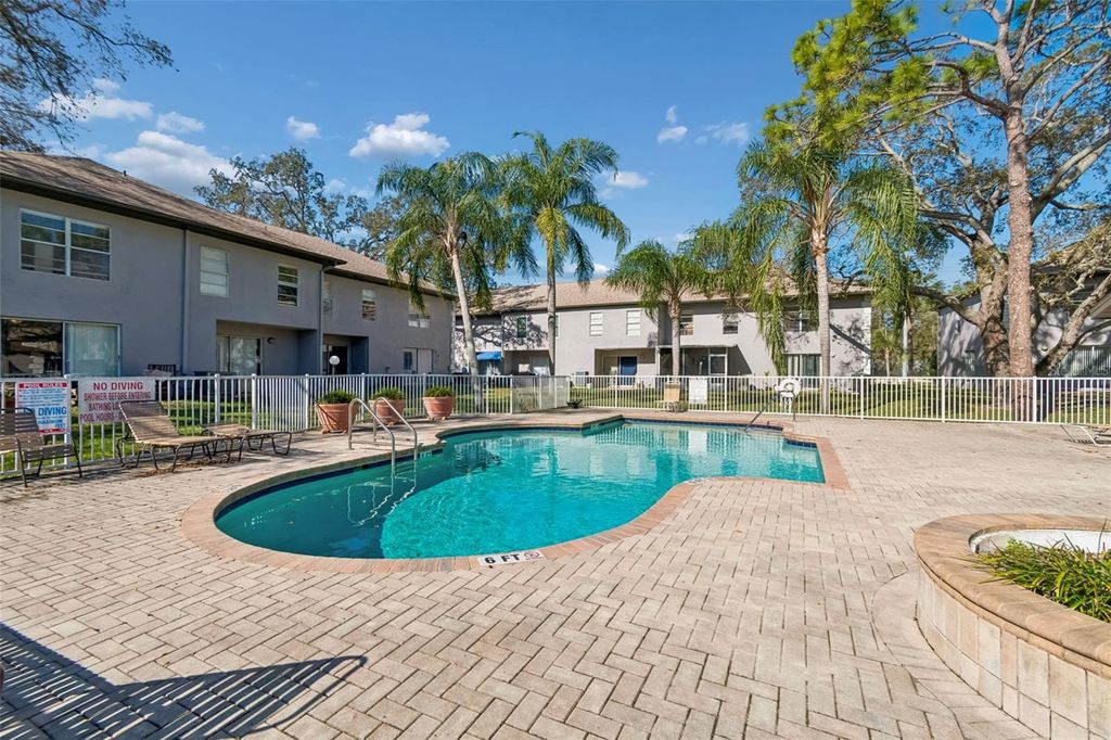Image 40 of property listing at 5156 SUNRIDGE PALMS DRIVE, Tampa, FL 33617