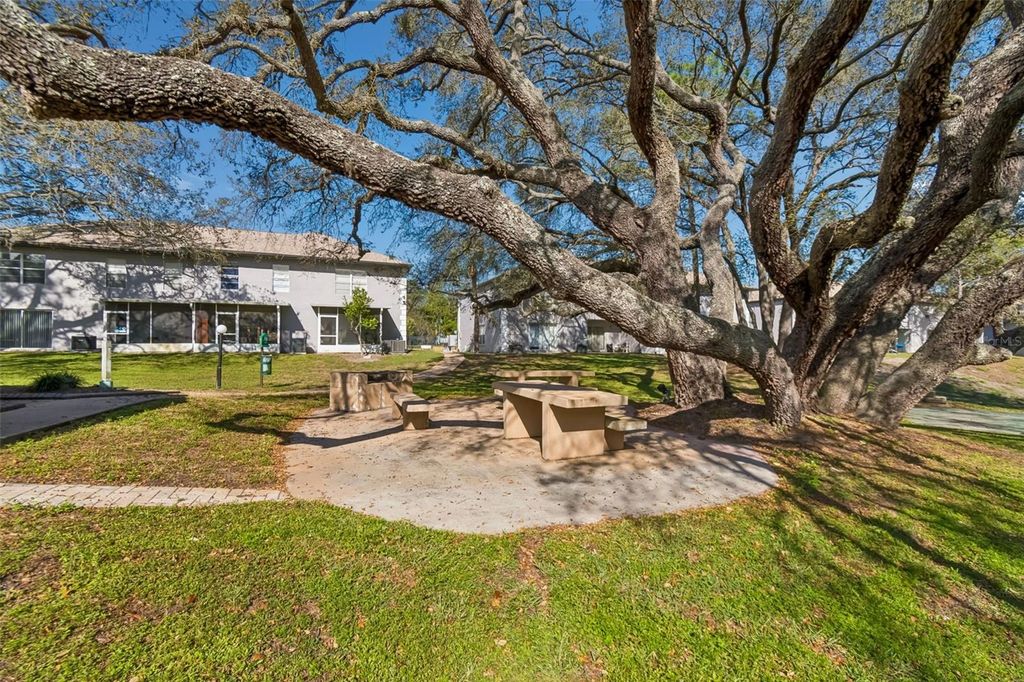 Image 46 of property listing at 5156 SUNRIDGE PALMS DRIVE, Tampa, FL 33617