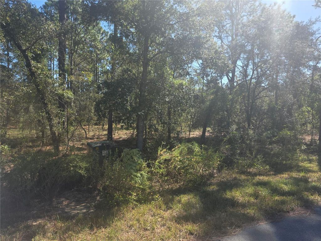Lot 30 NW HOLLY ROAD, Dunnellon, FL 34431