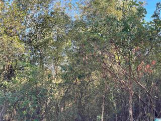 0 HOWELL COVE ROAD, Talladega, AL 35160