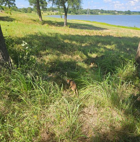 Lot 7 Private Road 7327, Emory, TX 75440