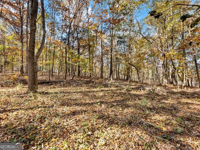 222 HEMLOCK, Stockbridge, GA 30281