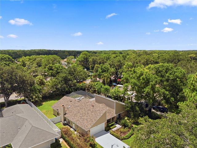 14207 ASHBURN PLACE, Tampa, FL 33624