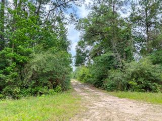 06 Fm 2937/Old Arco Rd, Silsbee, TX 77656