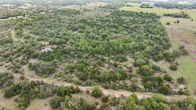 TBD Tobias Road, Columbus, TX 78934