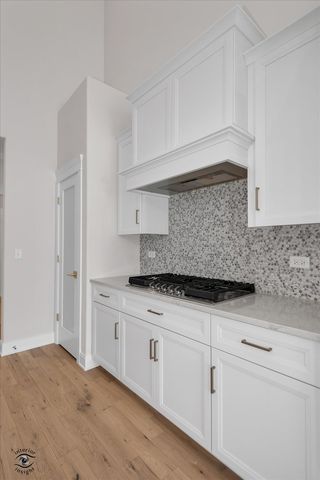 8858 Buffington Breakwater Drive, Frankfort, IL 60423