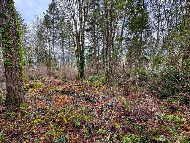 468 3rd Court, Fox Island, WA 98333