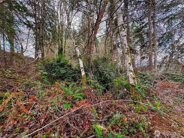 468 3rd Court, Fox Island, WA 98333