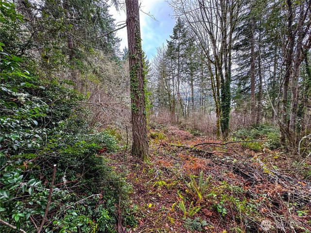 468 3rd Court, Fox Island, WA 98333