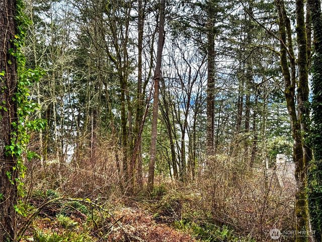 468 3rd Court, Fox Island, WA 98333