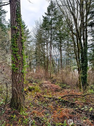 468 3rd Court, Fox Island, WA 98333