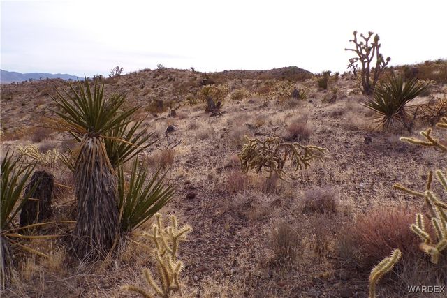 Lot 72 W 20th Street, Dolan Springs, AZ 86441