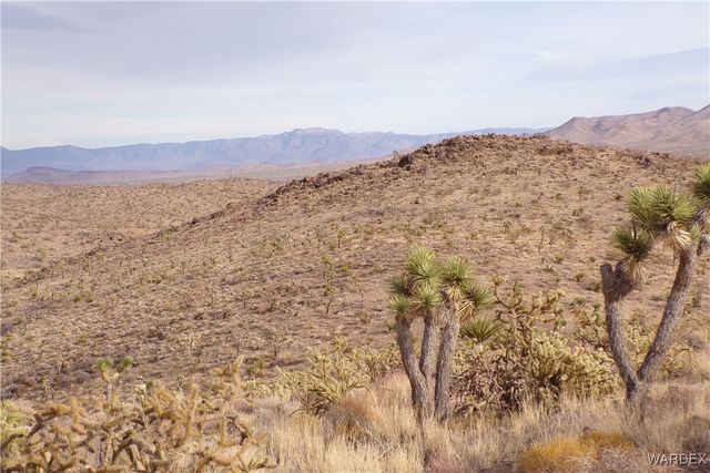 Lot 72 W 20th Street, Dolan Springs, AZ 86441