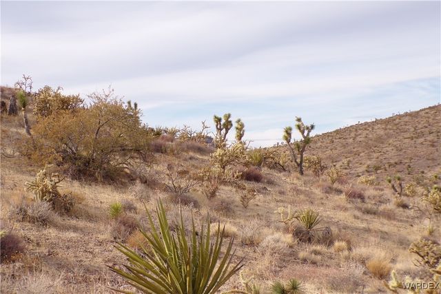Lot 72 W 20th Street, Dolan Springs, AZ 86441