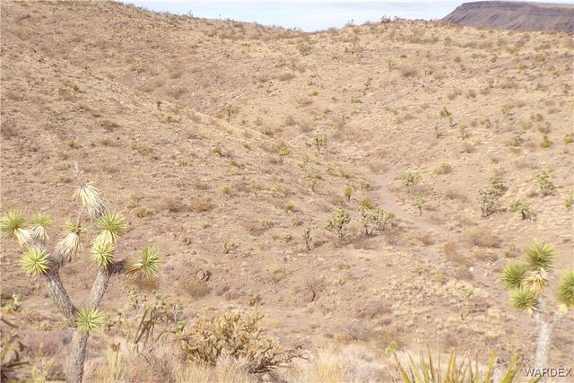 Lot 72 W 20th Street, Dolan Springs, AZ 86441