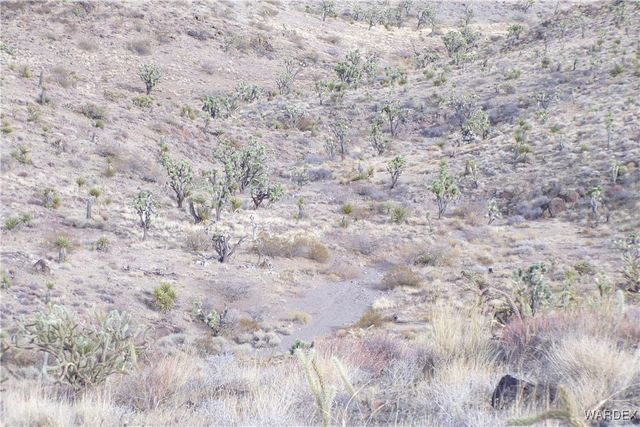 Lot 72 W 20th Street, Dolan Springs, AZ 86441