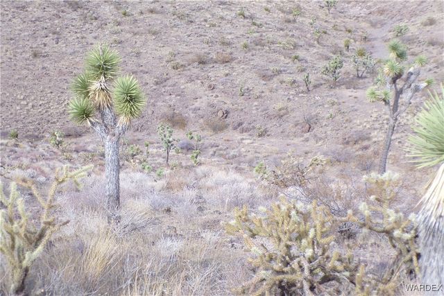 Lot 72 W 20th Street, Dolan Springs, AZ 86441