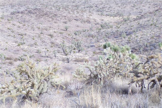 Lot 72 W 20th Street, Dolan Springs, AZ 86441