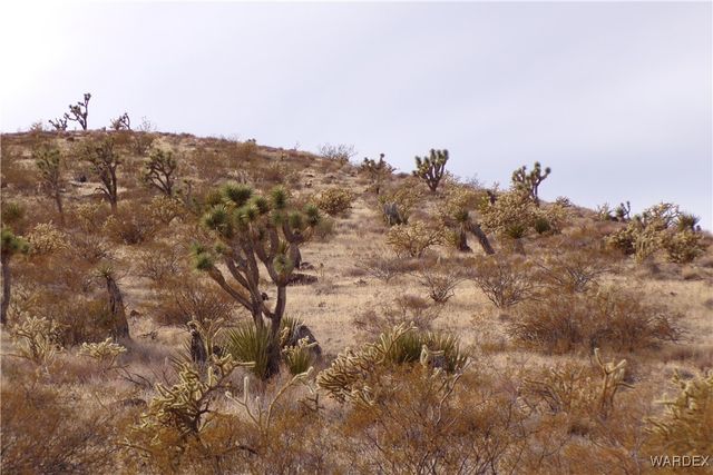 Lot 72 W 20th Street, Dolan Springs, AZ 86441