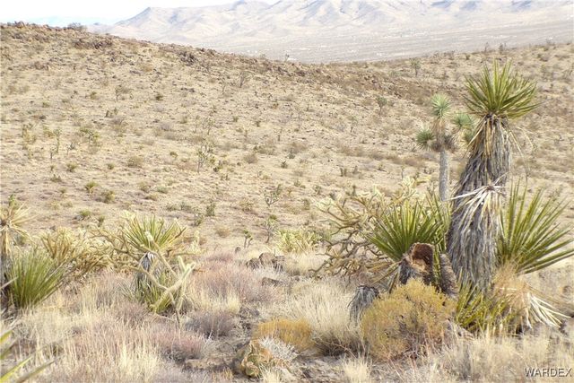 Lot 72 W 20th Street, Dolan Springs, AZ 86441