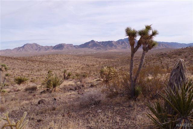 Lot 72 W 20th Street, Dolan Springs, AZ 86441