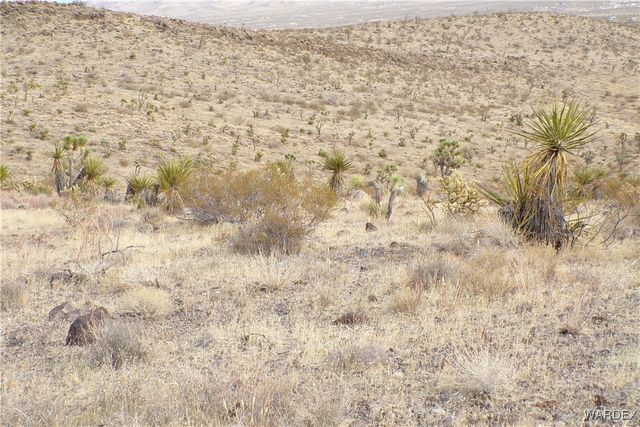 Lot 72 W 20th Street, Dolan Springs, AZ 86441