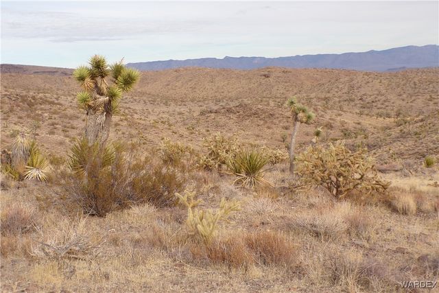 Lot 72 W 20th Street, Dolan Springs, AZ 86441