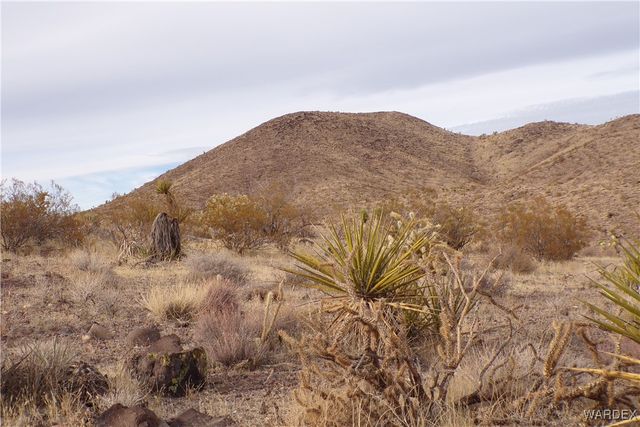 Lot 72 W 20th Street, Dolan Springs, AZ 86441