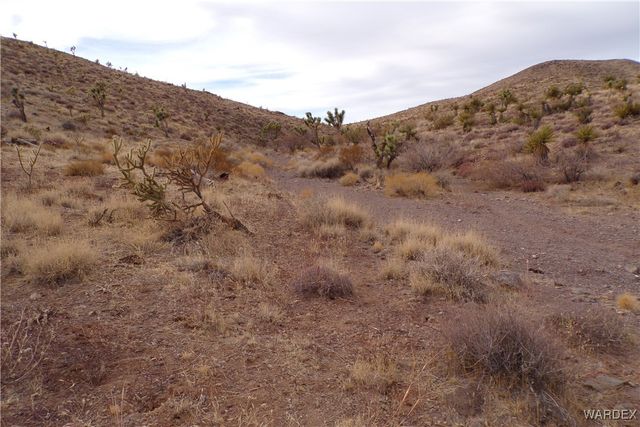 Lot 72 W 20th Street, Dolan Springs, AZ 86441