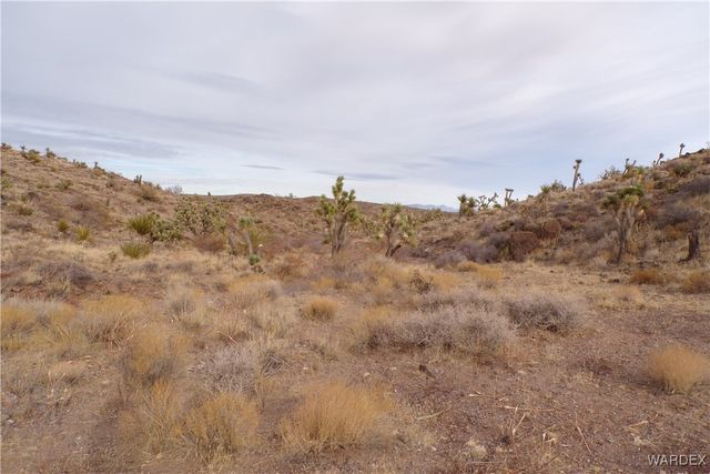 Lot 72 W 20th Street, Dolan Springs, AZ 86441
