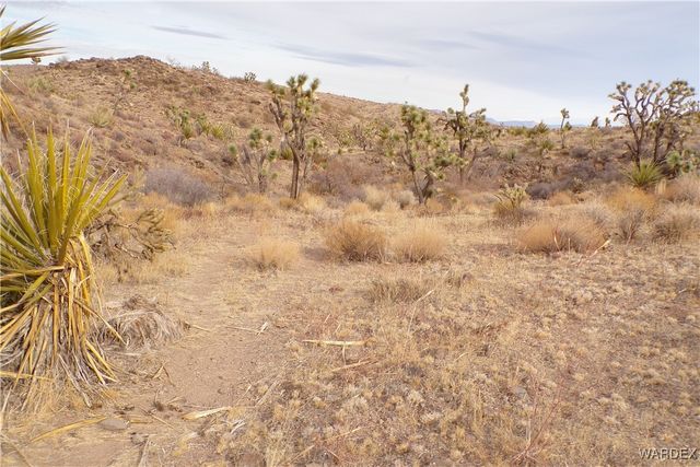 Lot 72 W 20th Street, Dolan Springs, AZ 86441