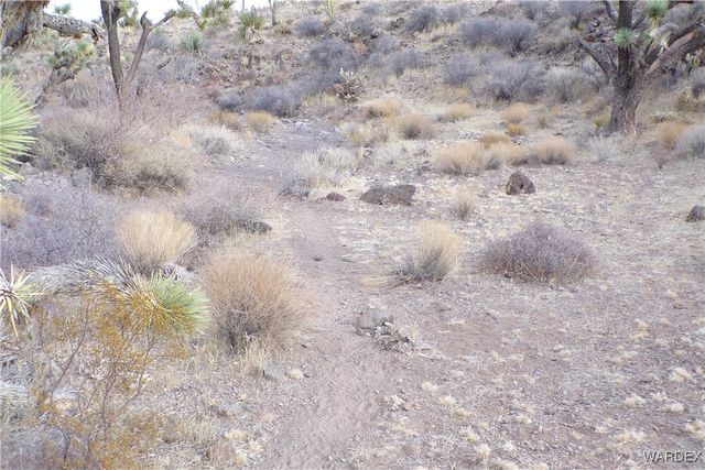 Lot 72 W 20th Street, Dolan Springs, AZ 86441