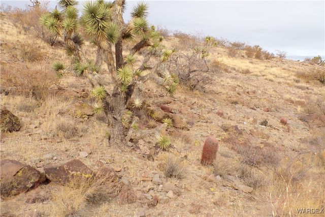 Lot 72 W 20th Street, Dolan Springs, AZ 86441