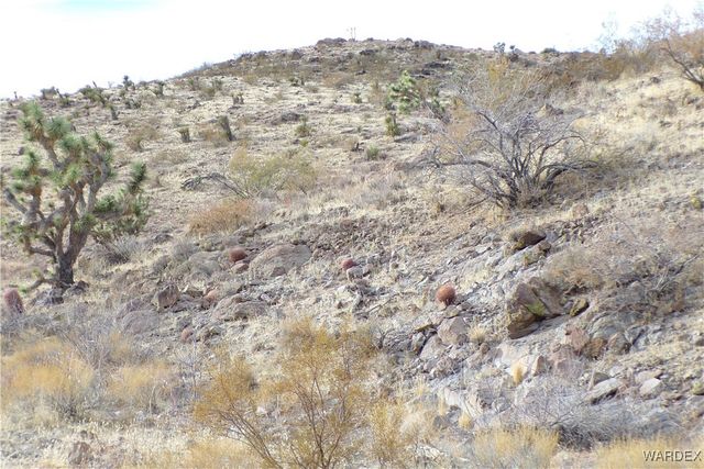 Lot 72 W 20th Street, Dolan Springs, AZ 86441