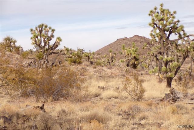 Lot 72 W 20th Street, Dolan Springs, AZ 86441