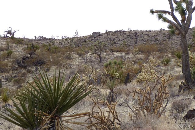 Lot 72 W 20th Street, Dolan Springs, AZ 86441