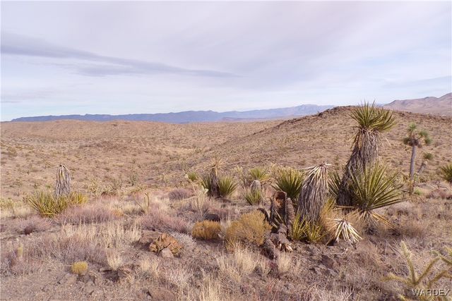 Lot 72 W 20th Street, Dolan Springs, AZ 86441