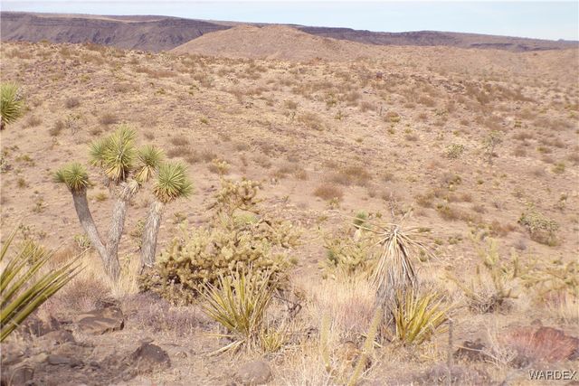Lot 72 W 20th Street, Dolan Springs, AZ 86441