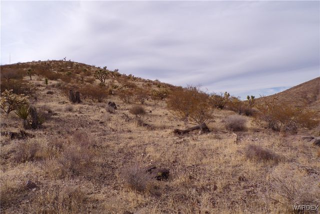 Lot 72 W 20th Street, Dolan Springs, AZ 86441