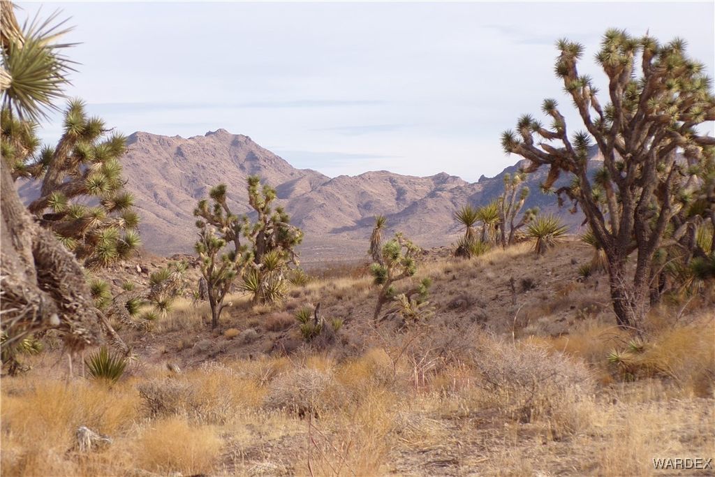 Lot 72 W 20th Street, Dolan Springs, AZ 86441