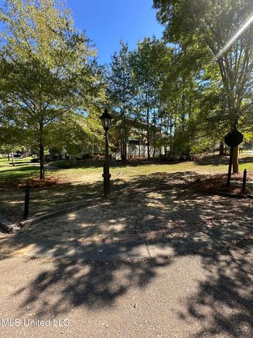 143 Louis Lefleur Boulevard, Madison, MS 39110