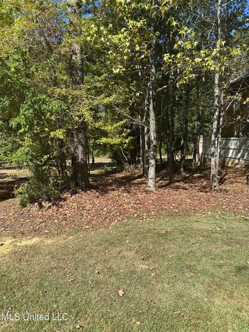 143 Louis Lefleur Boulevard, Madison, MS 39110