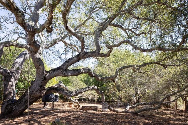 20 Marquard Road, Carmel Valley, CA 93924