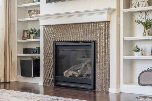 3793 Cadence Drive, Castle Rock, CO 80109