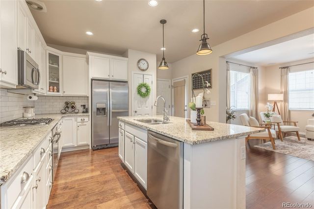 3793 Cadence Drive, Castle Rock, CO 80109