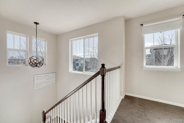 3793 Cadence Drive, Castle Rock, CO 80109