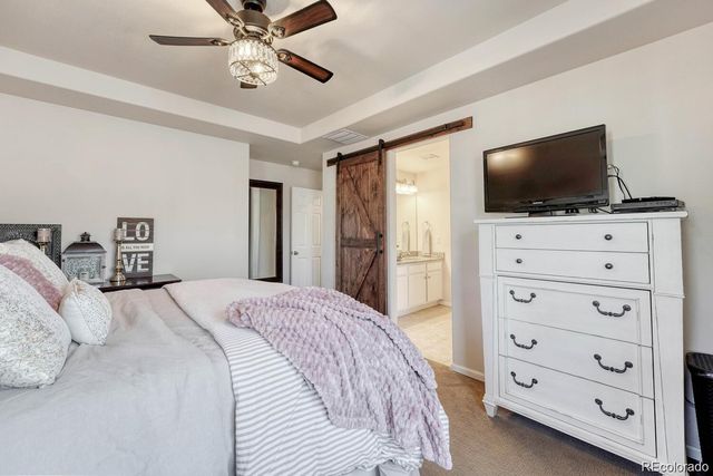3793 Cadence Drive, Castle Rock, CO 80109