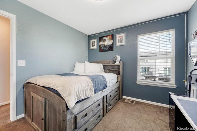 3793 Cadence Drive, Castle Rock, CO 80109