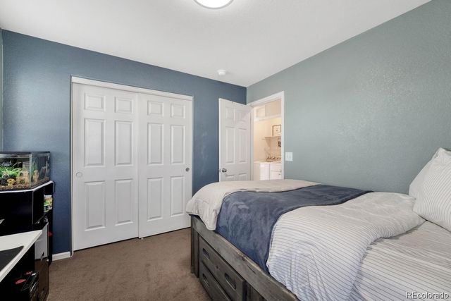 3793 Cadence Drive, Castle Rock, CO 80109