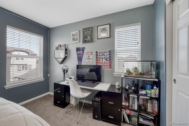 3793 Cadence Drive, Castle Rock, CO 80109